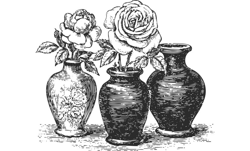 Elegant Rose Vases Sketch Vector Image