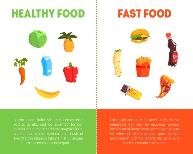 Food choice healthy and junk banner template vector image