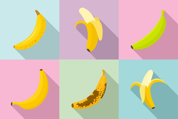 Banana Icon Set - Flat Style Vector Image