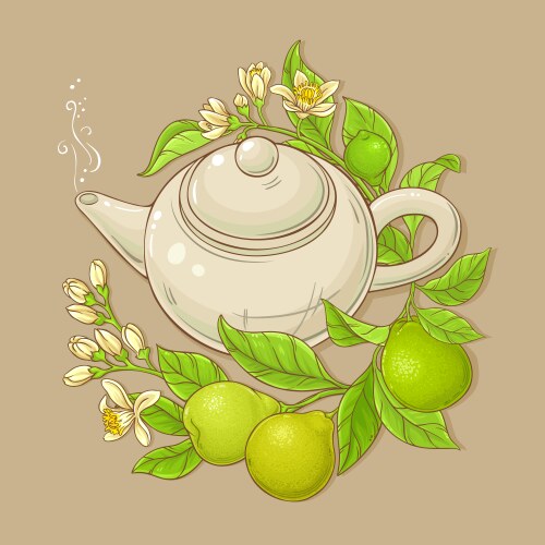 Bergamot frame Royalty Free Vector Image - VectorStock