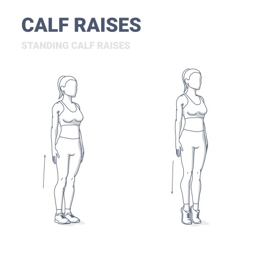 Calf raises woman exercise guidance vector image