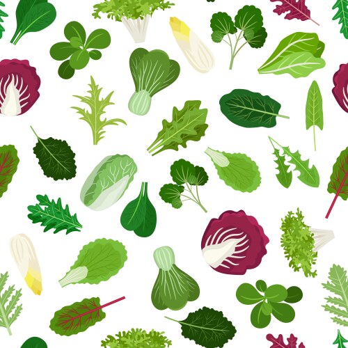 Green salad leaves set Royalty Free Vector Image