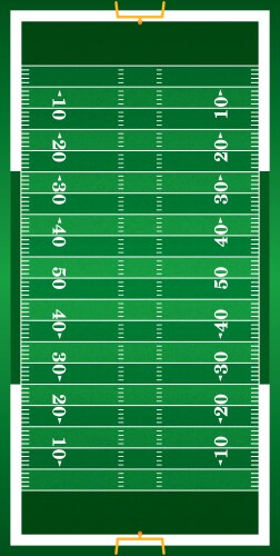 realistic american football field vector image