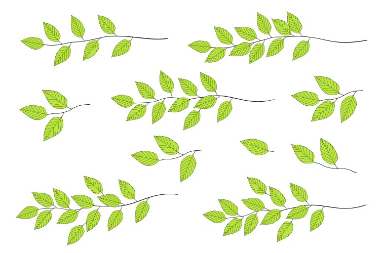Summer branch of tree and green leaves seasonal Vector Image
