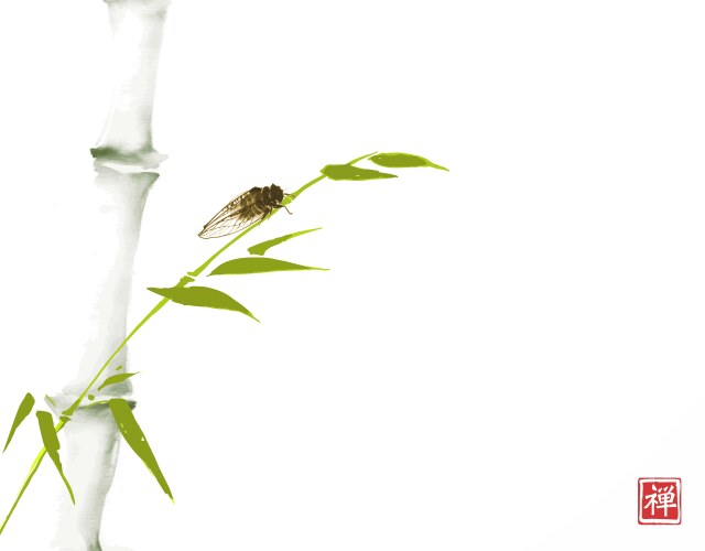 Bamboo & Cicada - Sumin-e Style Vector Image