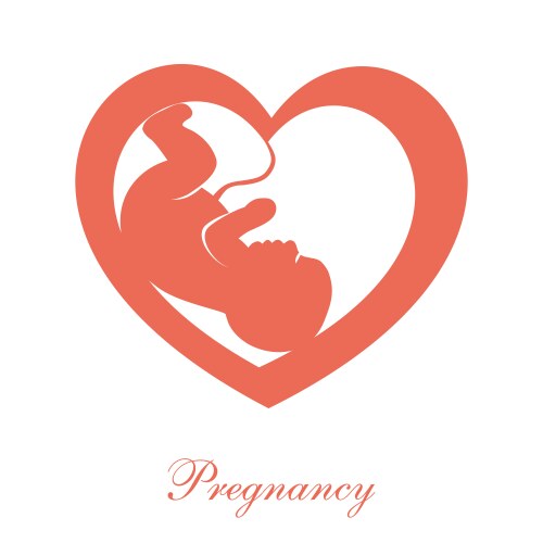 Fetus baby in womb icon cartoon Royalty Free Vector Image