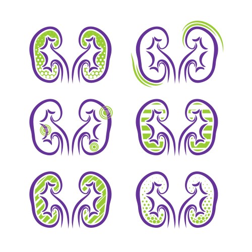 all about kidneys vector image