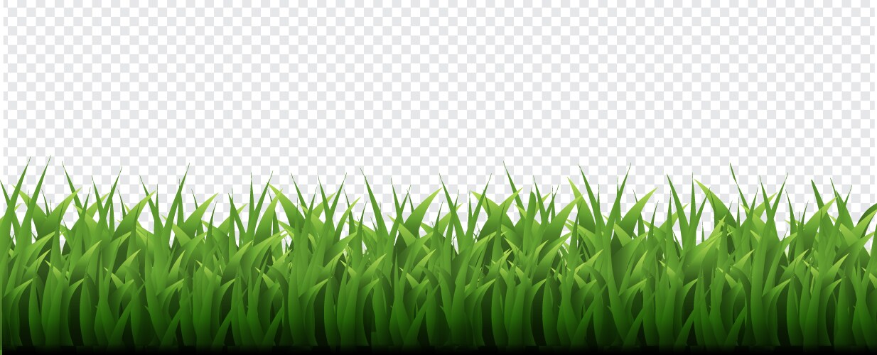 Green grass border transparent background vector image