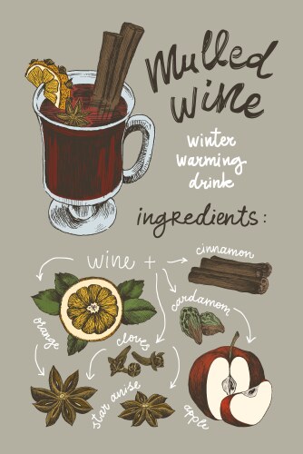 Mulled Wine Sketch Set Vector Image