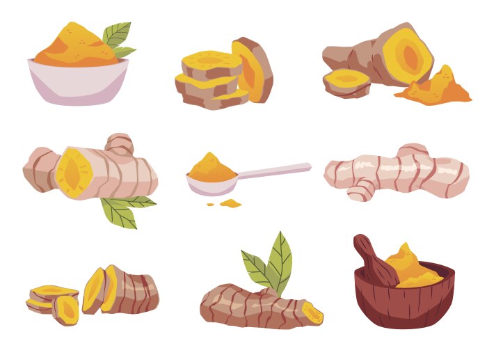 Turmeric Vector Images (over 2,800)