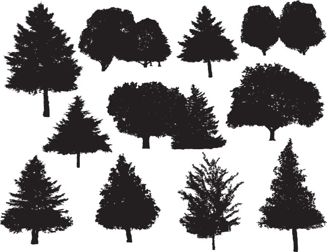 Tree silhouettes Royalty Free Vector Image - VectorStock