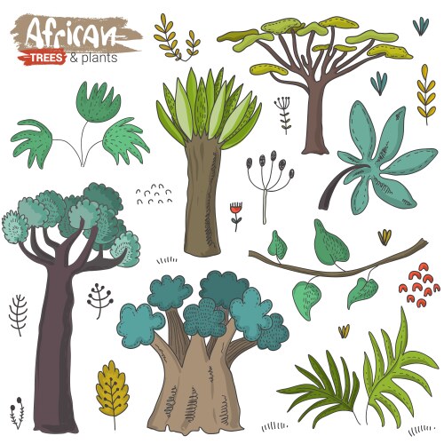Set cartoon african trees and plants Vector Image
