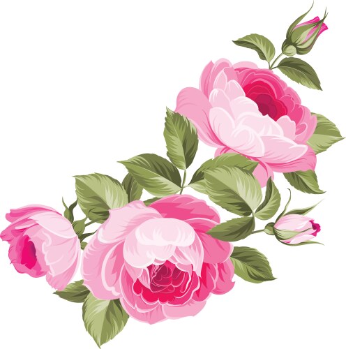 Elegant Rose Bouquet Vector Image