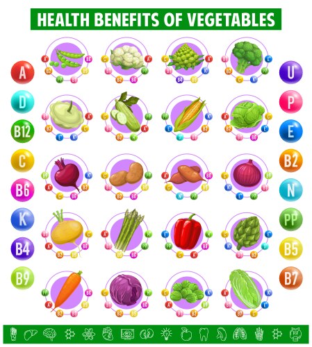 Chart table content of vitamins in vegetables vector image