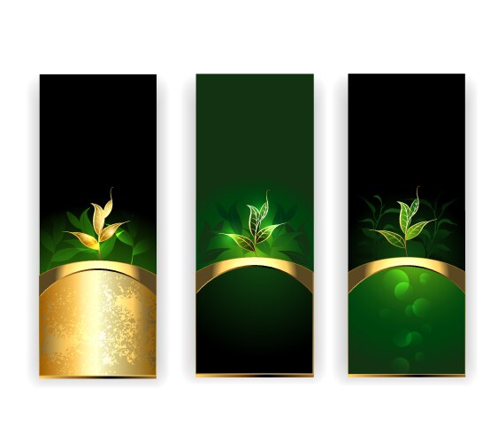 banners with tea vector image