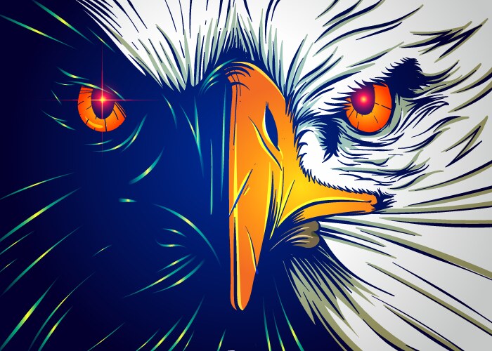 Eagle face Royalty Free Vector Image - VectorStock