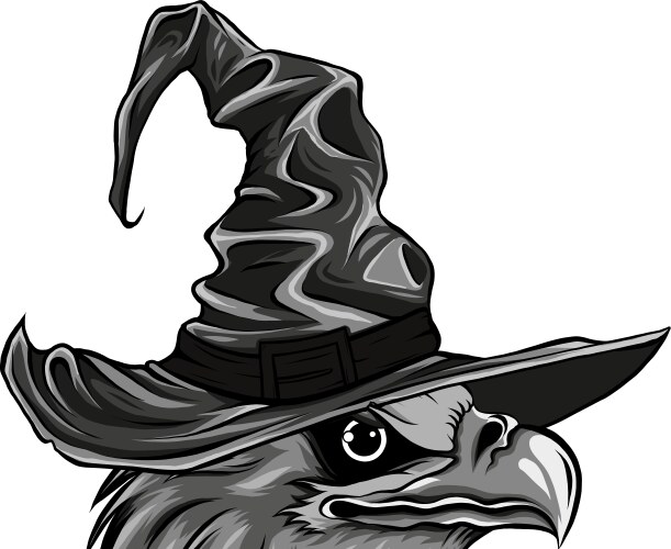 Monochrome head eagle Vector Image