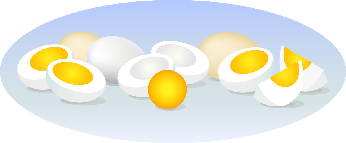 Set with raw fried and boiled chicken eggs Vector Image