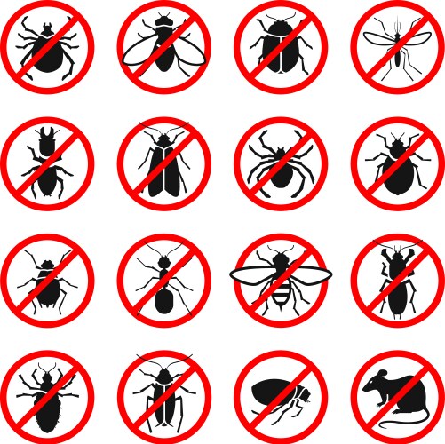 pest control harmful insects and rodents set vector image