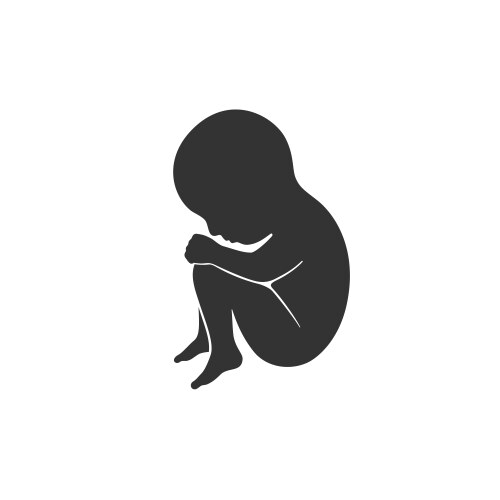 Embryo Vector Images Over 9 600