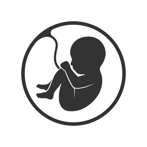 Fetus icon isolated on white background Royalty Free Vector