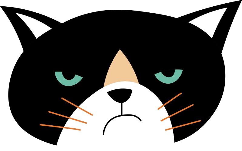 angry cat furious expression on kitty muzzle vector