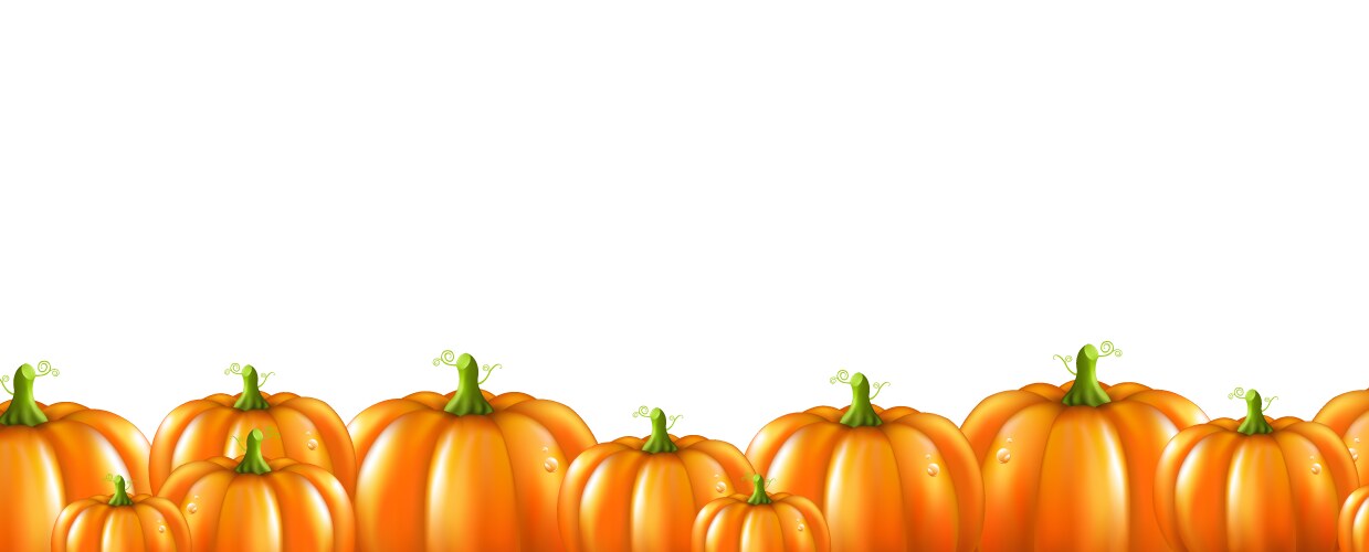 Halloween with orange pumpkins border vector image