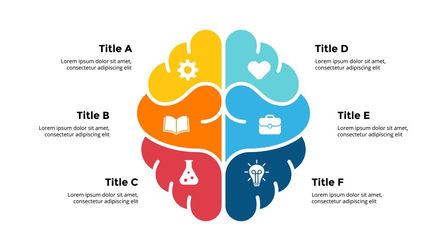 Human brain infographic generating new ideas vector image