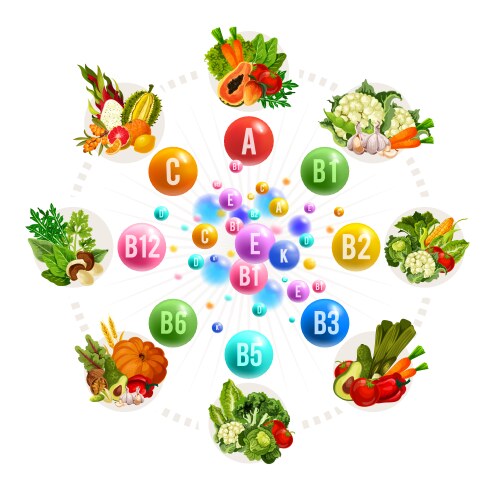 nutrition of vitamins and minerals vector image