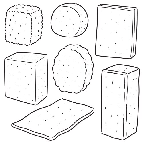 Set of sponge Vector Image
