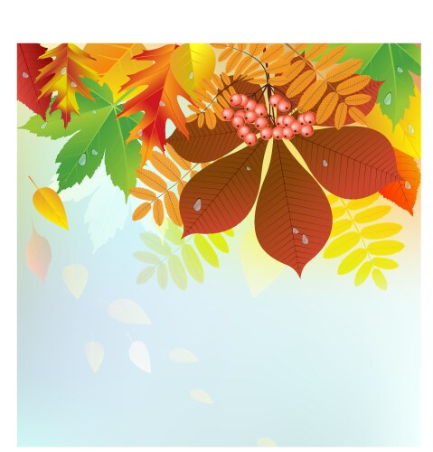 Autumn background with leaves Royalty Free Vector Image