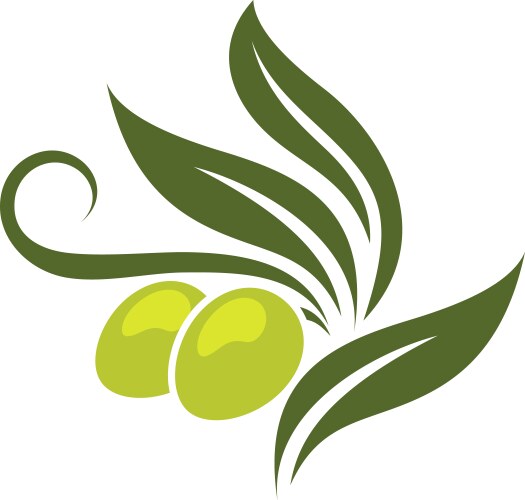 green olives branch vector image vector image