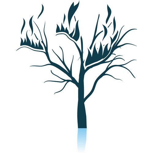 Bushfire Vector Images & Graphics for Commercial Use | VectorStock