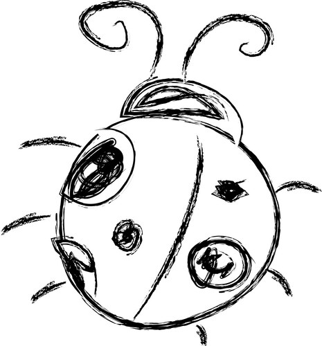 Ladybug Silhouette Sketch Vector Image