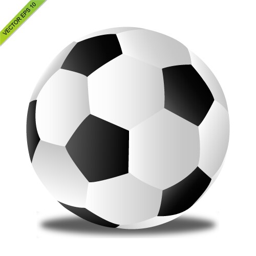Leather soccer ball Royalty Free Vector Image - VectorStock