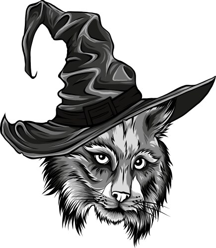 Wizard Monochrome Hat Royalty Free Vector Image