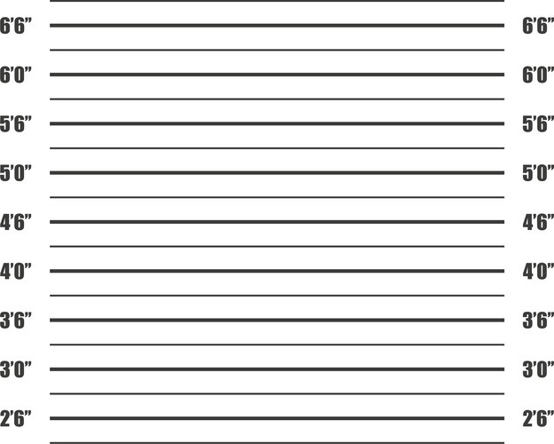 Growth prisoner white photo background flat style Vector Image