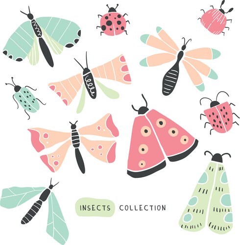 Colorful Insect Doodle Set Vector Image