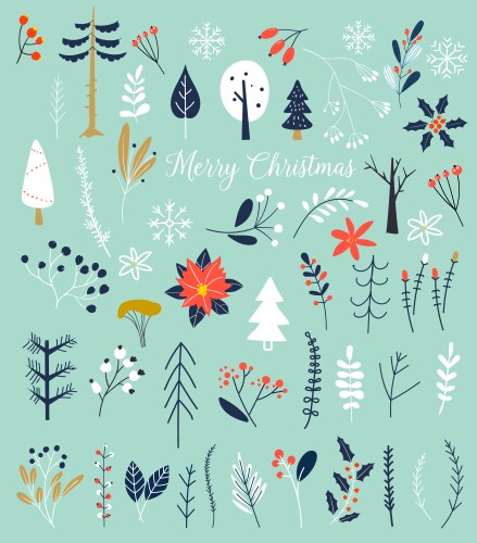 Winter Festive Botanical Vector Image