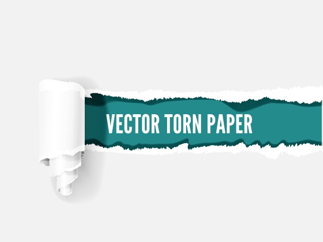 torn paper with scroll and sample for text over vector image