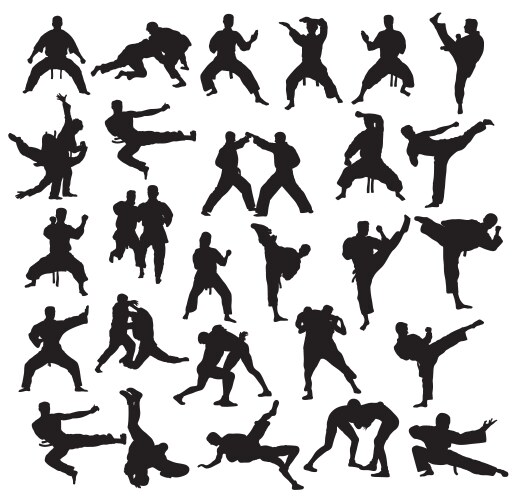 Martial Arts Silhouettes Vector Image