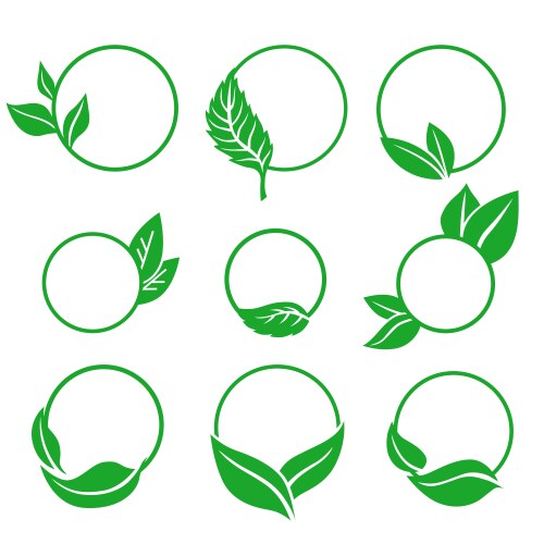 Eco icon with leaves round frame set vector image