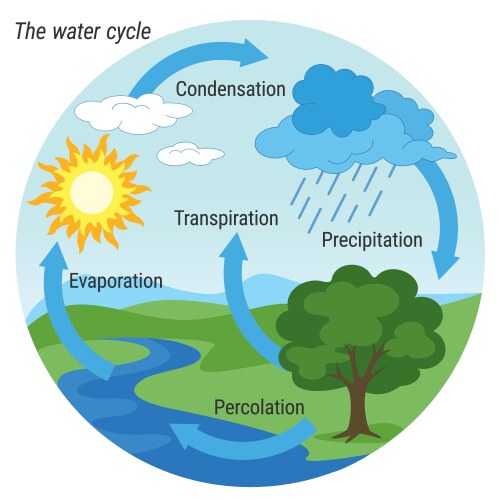 Water cycle black and white Royalty Free Vector Image