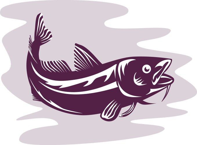 Atlantic cod Royalty Free Vector Image - VectorStock