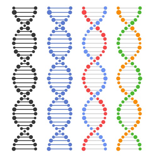 Double dna helix icons Royalty Free Vector Image