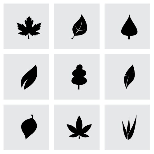 Leaf icon set vector image