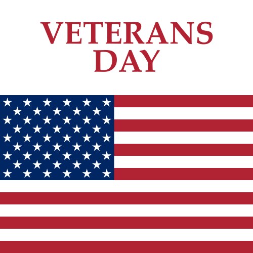Veterans day in the united states of america Vector Image