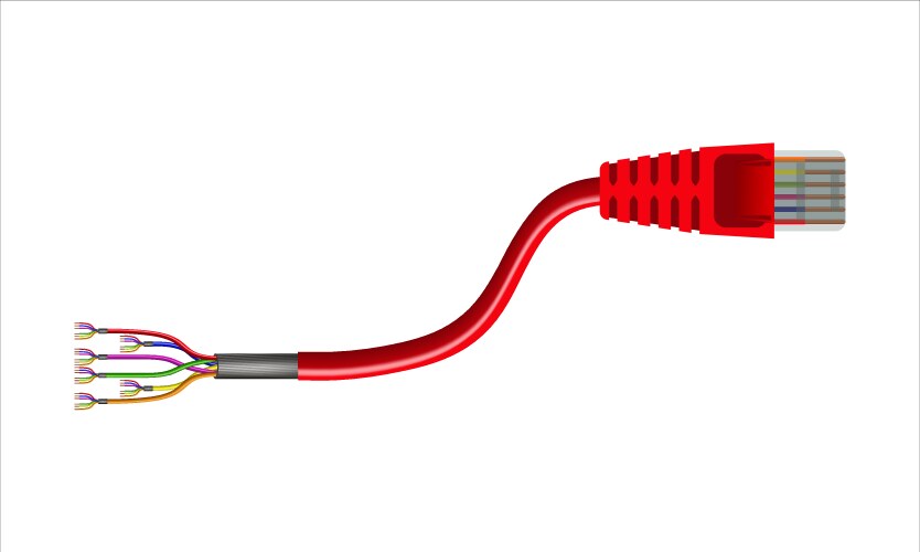 red cord ethernet cable with connector rj45 vector image