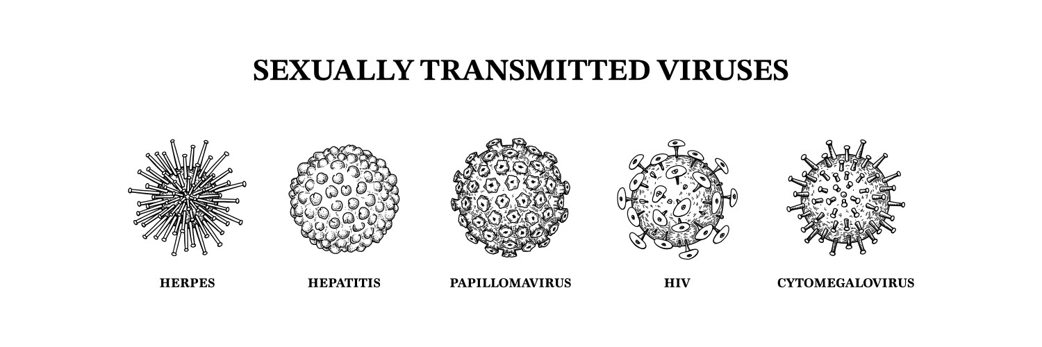 Sexually-transmitted diseases woman body infected Vector Image