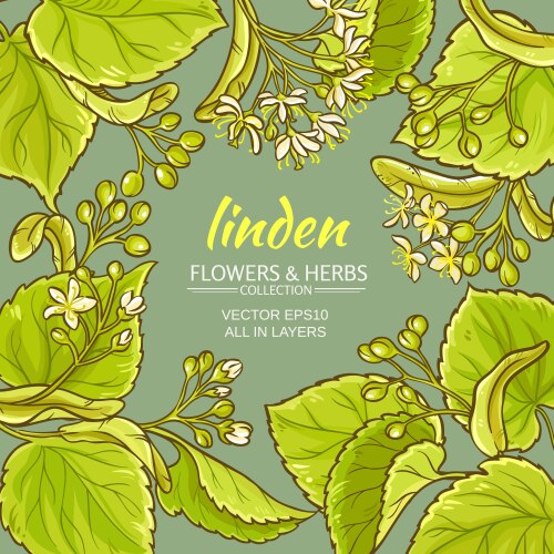 Linden frame Royalty Free Vector Image - VectorStock